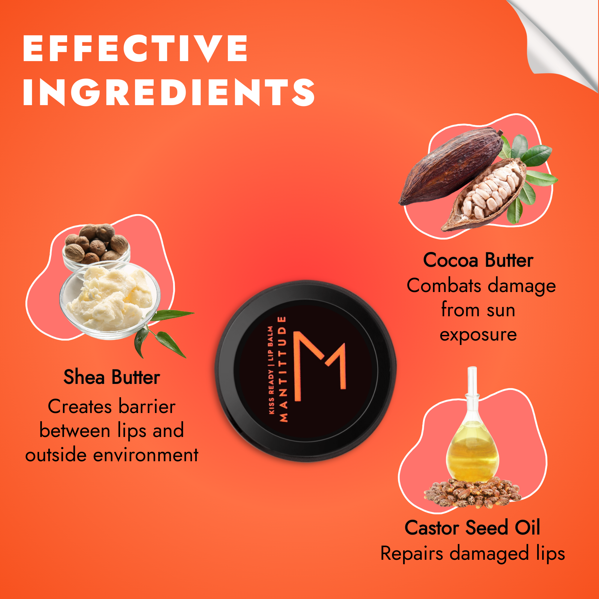 cocoa butter lip balm, lip balm with castor seeds and shea butter