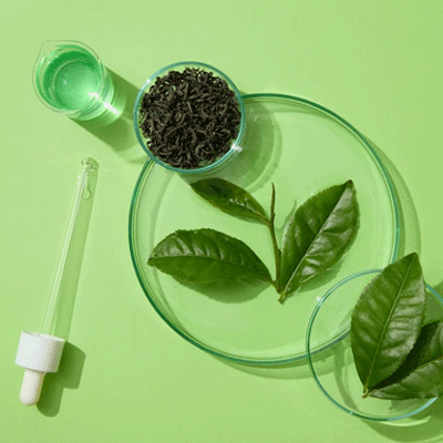 Tea Tree Leaf Extract